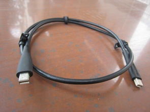 DisplayPort 音视频线 高清数字传输的骨干